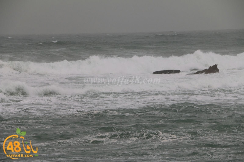 yaffa weahtera (9).jpg